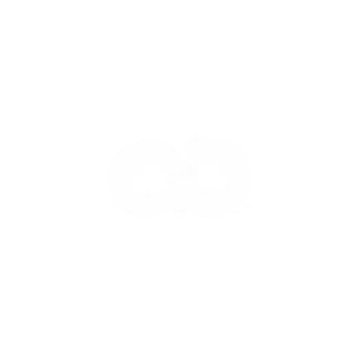 logoslide10