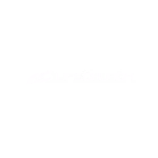 logoslide15