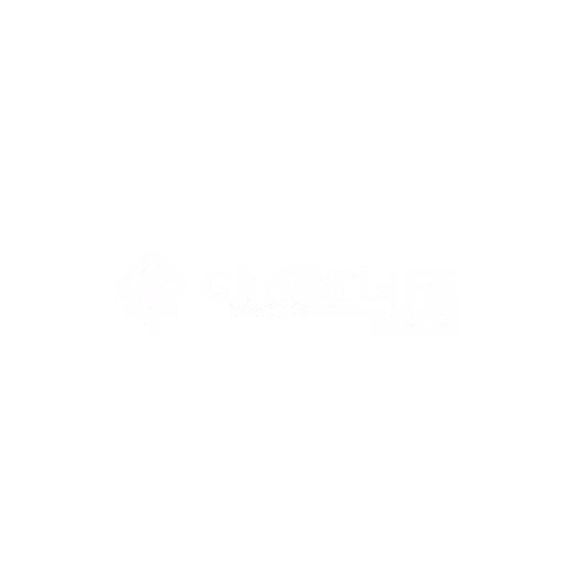 logoslide23